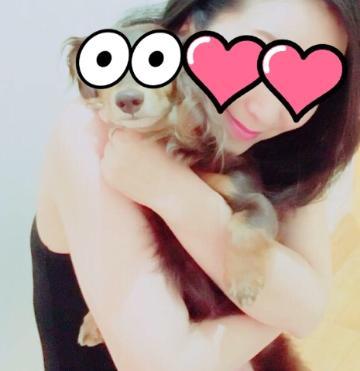 上野人妻セカンドラバーズ|ゆり