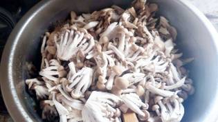 photo-01